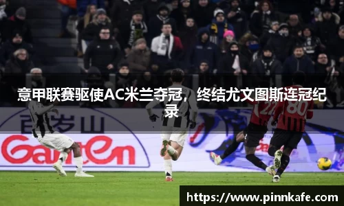 im电竞官网入口
