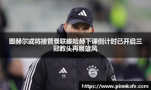 im电竞平台官网